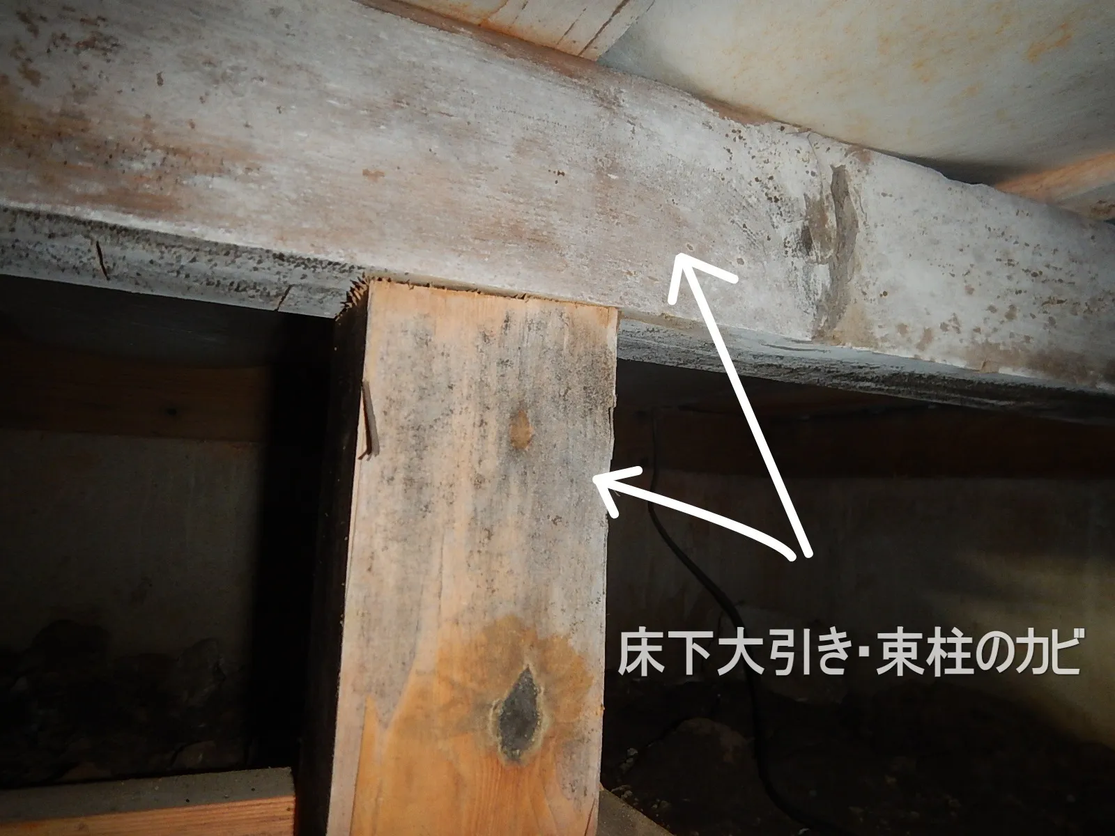 【埼玉県さいたま市】戸建住宅床下に防カビ工事をしませんか？