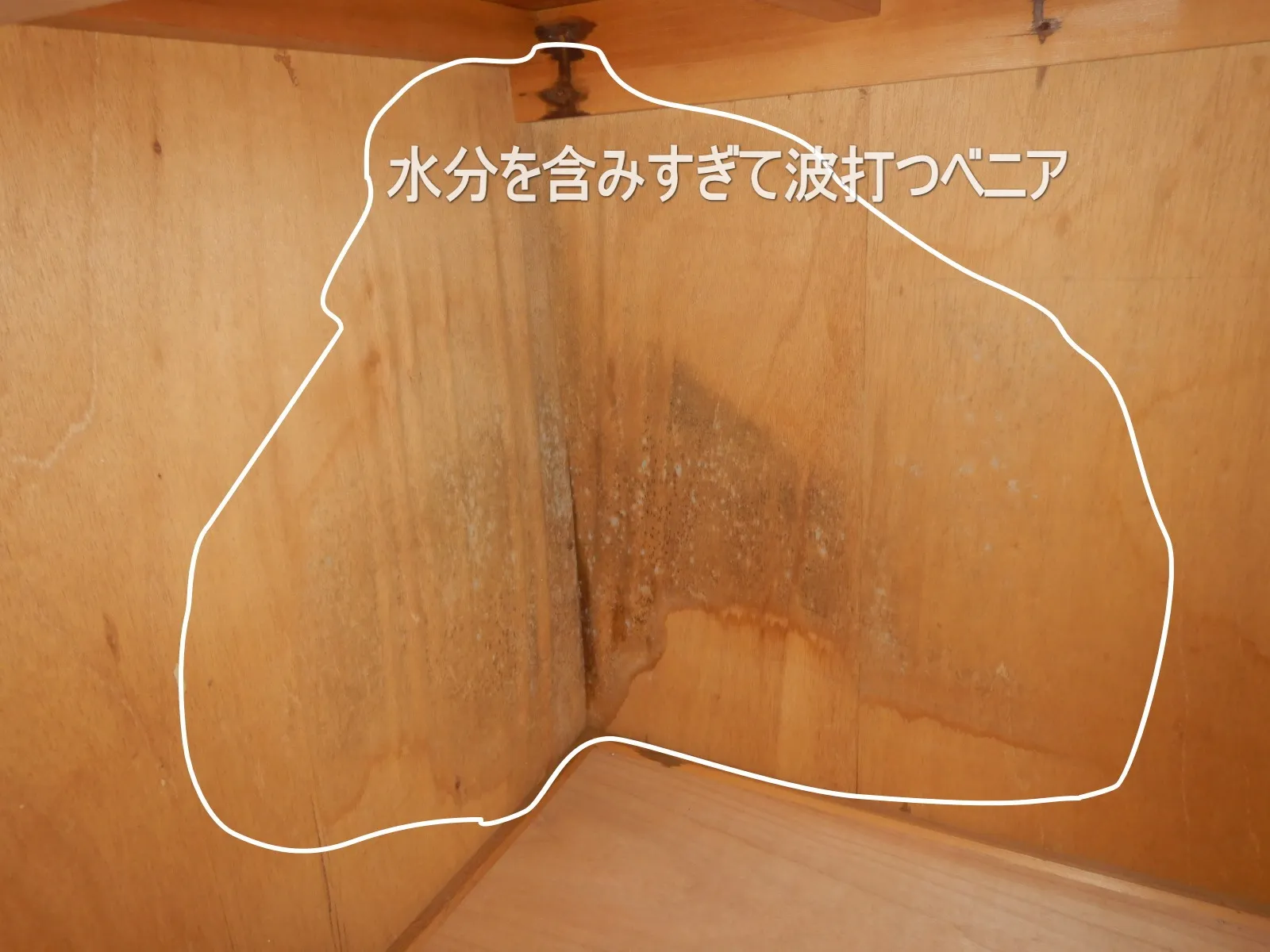 【埼玉県富士見市】マンション押入れベニアカビの原因は漏水か結露か