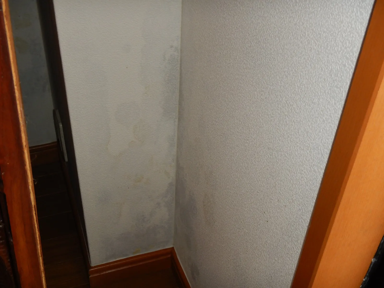 【東京都港区】壁紙結露カビによるカビ臭で体調悪化