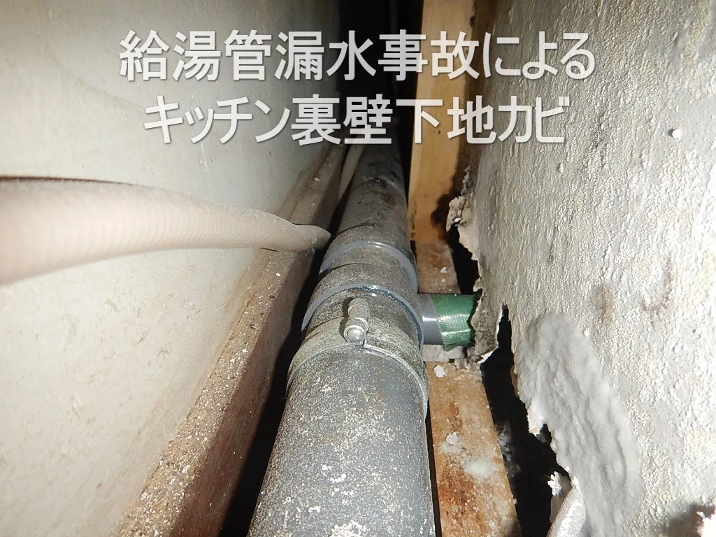 【埼玉・東京】マンション漏水事故後は広めの解体と防カビ工事を