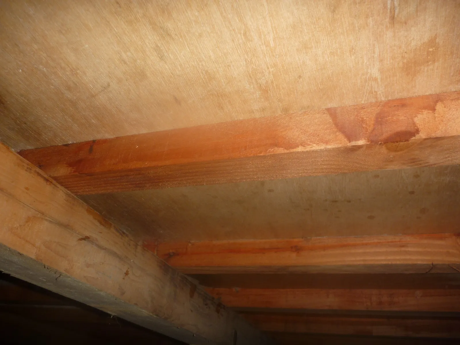 【栃木県佐野市】戸建住宅床下木材合板の防カビ工事
