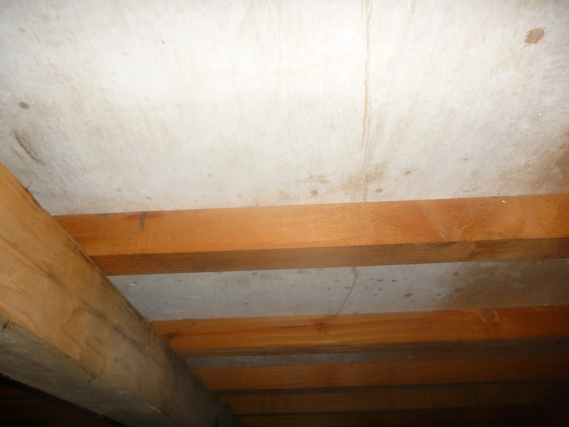 【栃木県佐野市】戸建住宅床下木材合板の防カビ工事