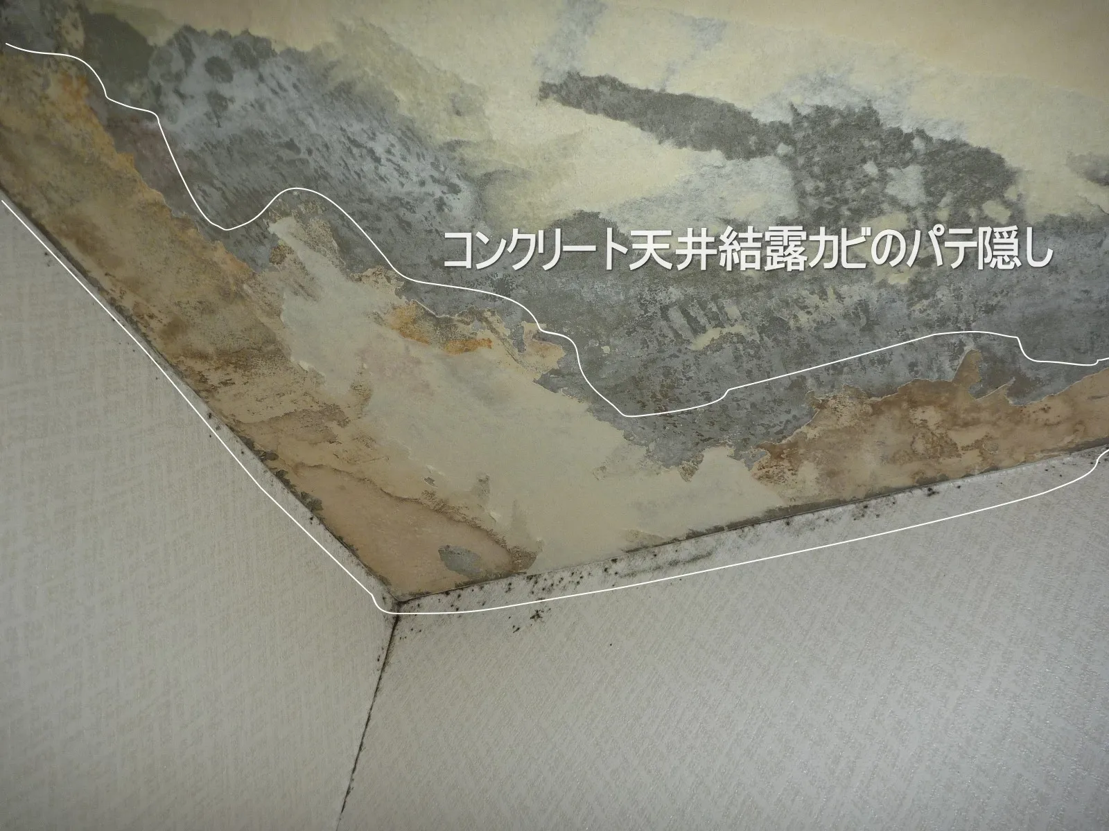 【東京都品川区】天井コンクリート結露カビのカビ隠し