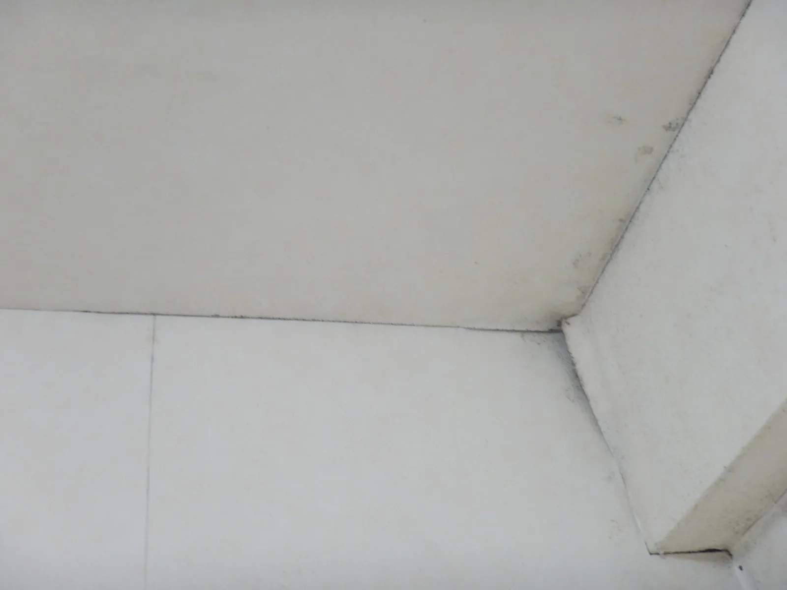【東京都江戸川区】冬に結露したコンクリート直張り壁紙がカビ臭い