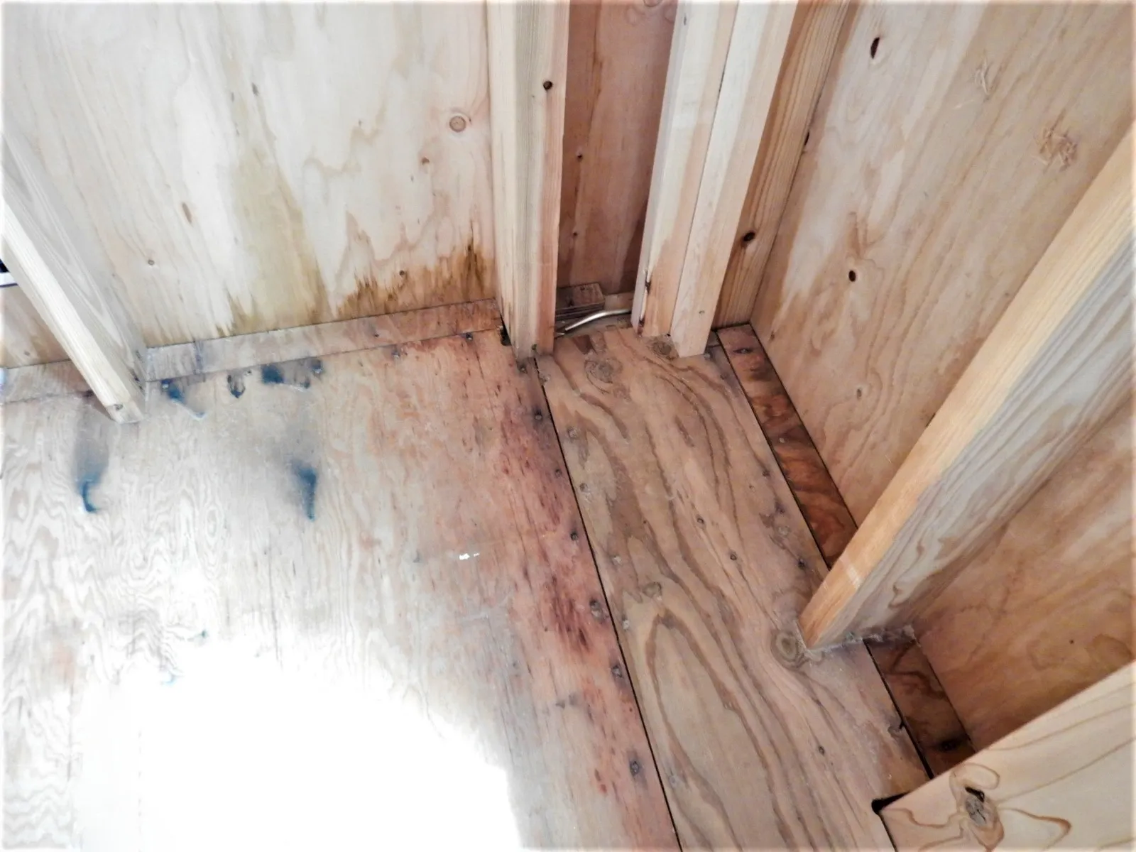 【埼玉・東京】雨に濡れた建築中注文住宅木材合板に防カビ工事を