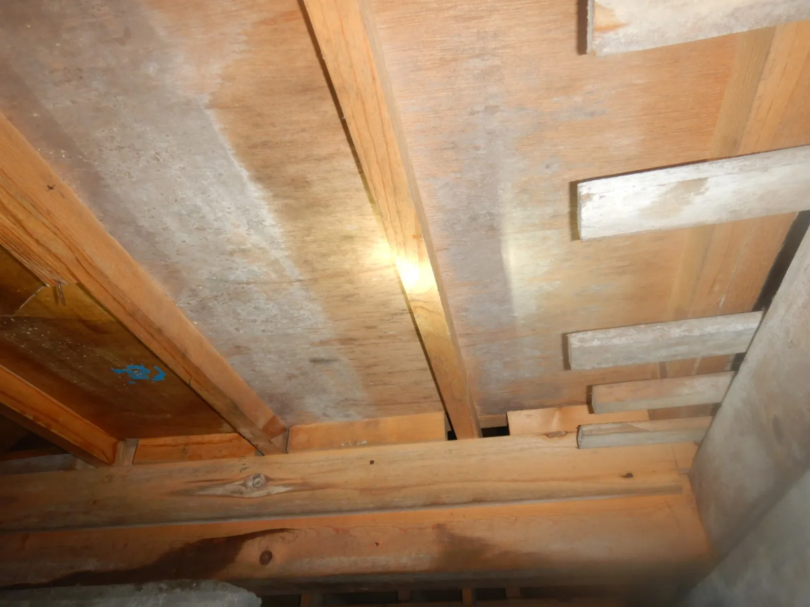 【埼玉・東京】戸建住宅床下木材合板カビ取り・殺菌消毒対応します