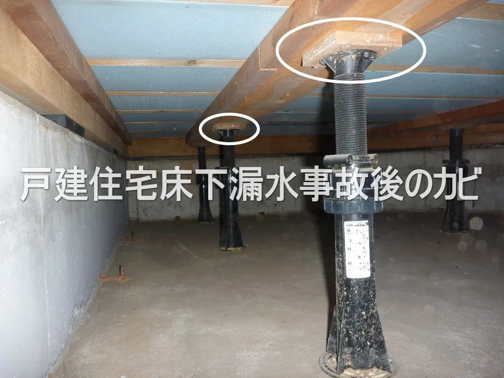 【埼玉・東京】戸建住宅床下漏水事故後のカビには防カビ工事を
