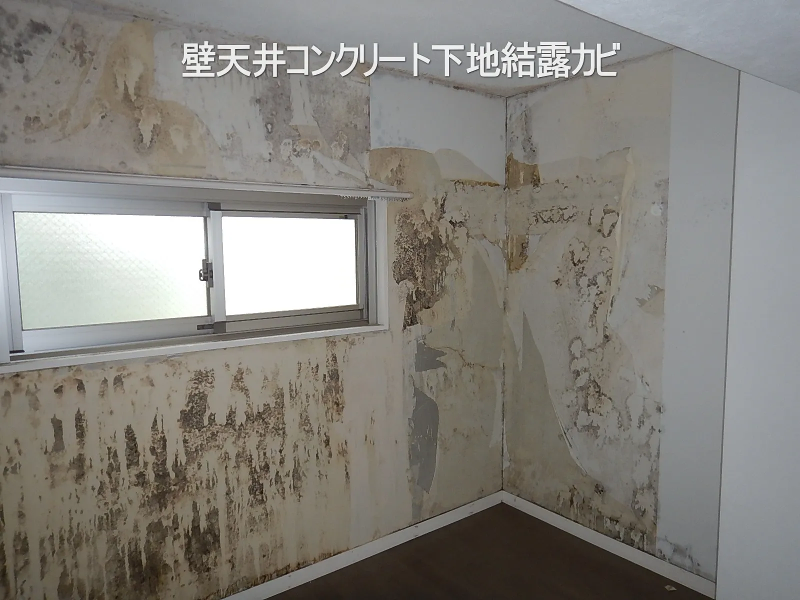 【東京都目黒区】コンクリートに囲まれた部屋の防カビ結露対策