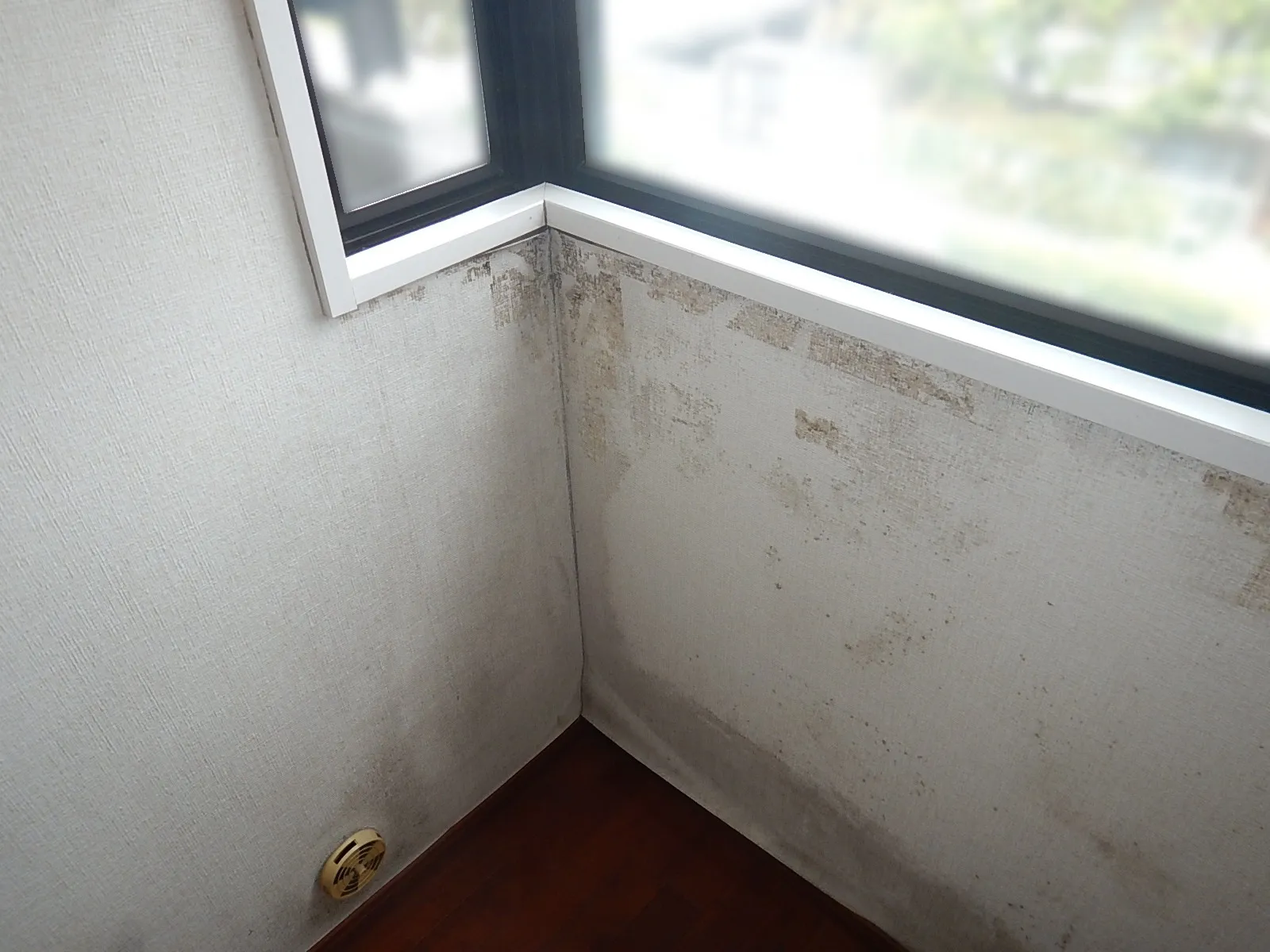 【神奈川県横浜市】大きな腰窓による壁紙結露カビに結露対策工事を