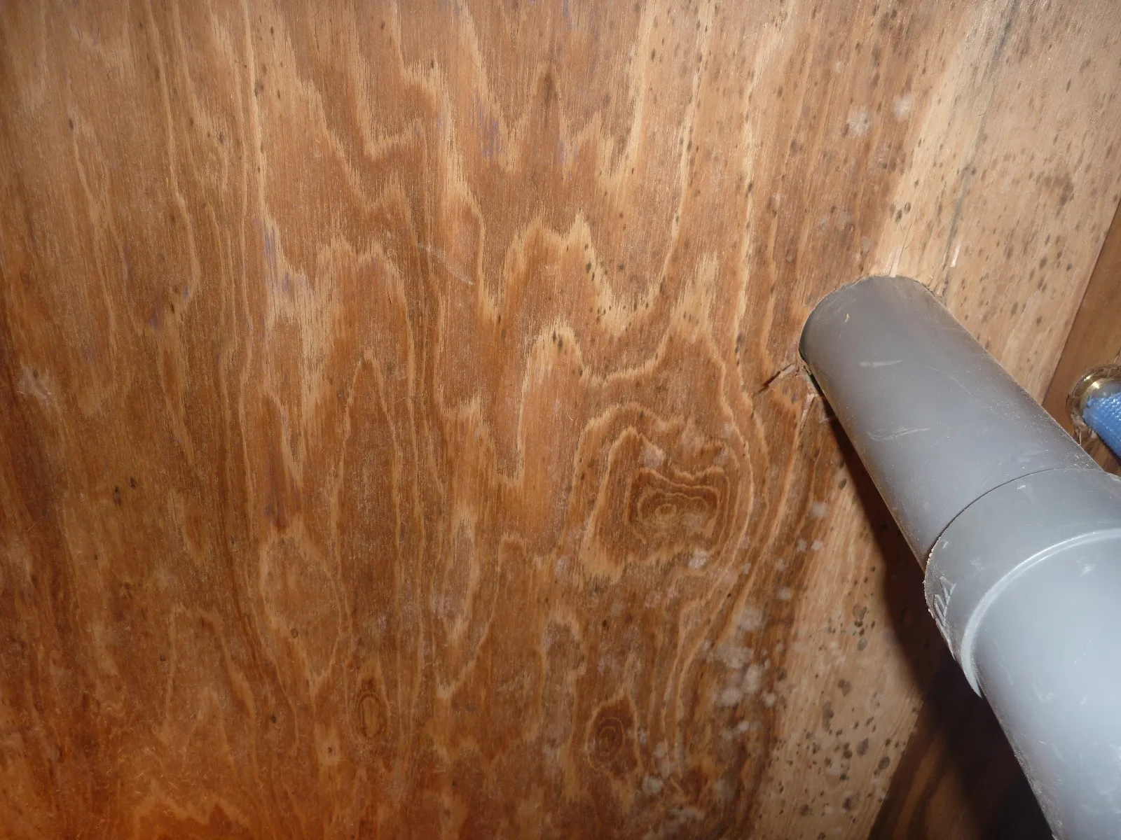 【埼玉・東京】住宅床下木材合板カビの繁殖状況確認と防カビ工事