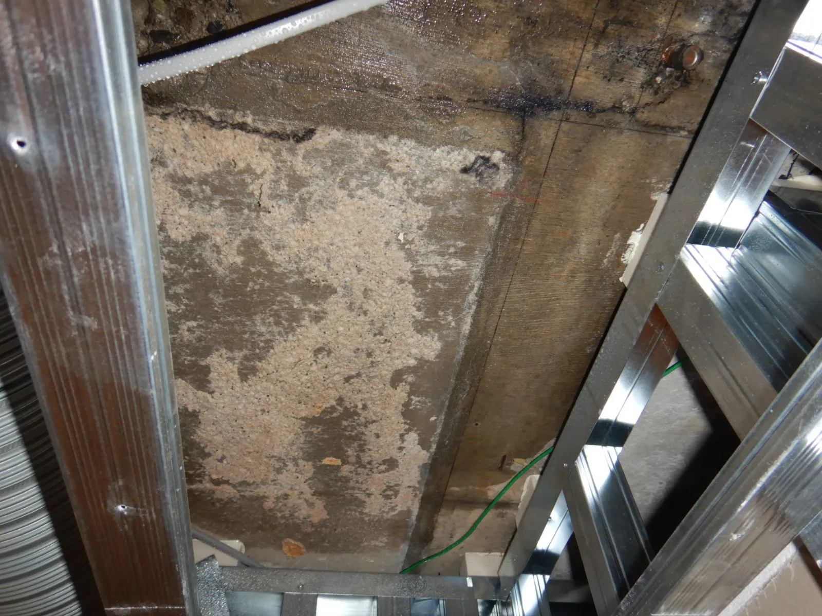 【東京都渋谷区】地下室階上からの漏水事故消臭防カビ工事