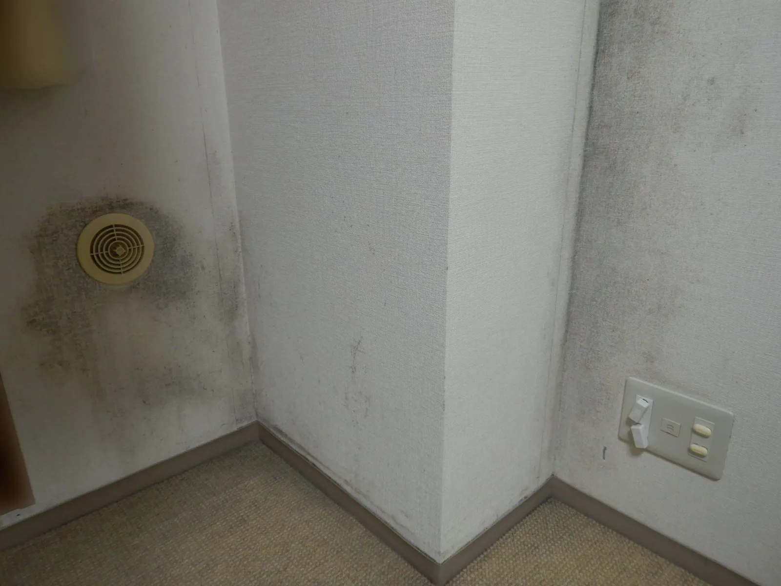 【埼玉・東京】分譲マンション吸気口周辺壁紙カビによるカビ臭
