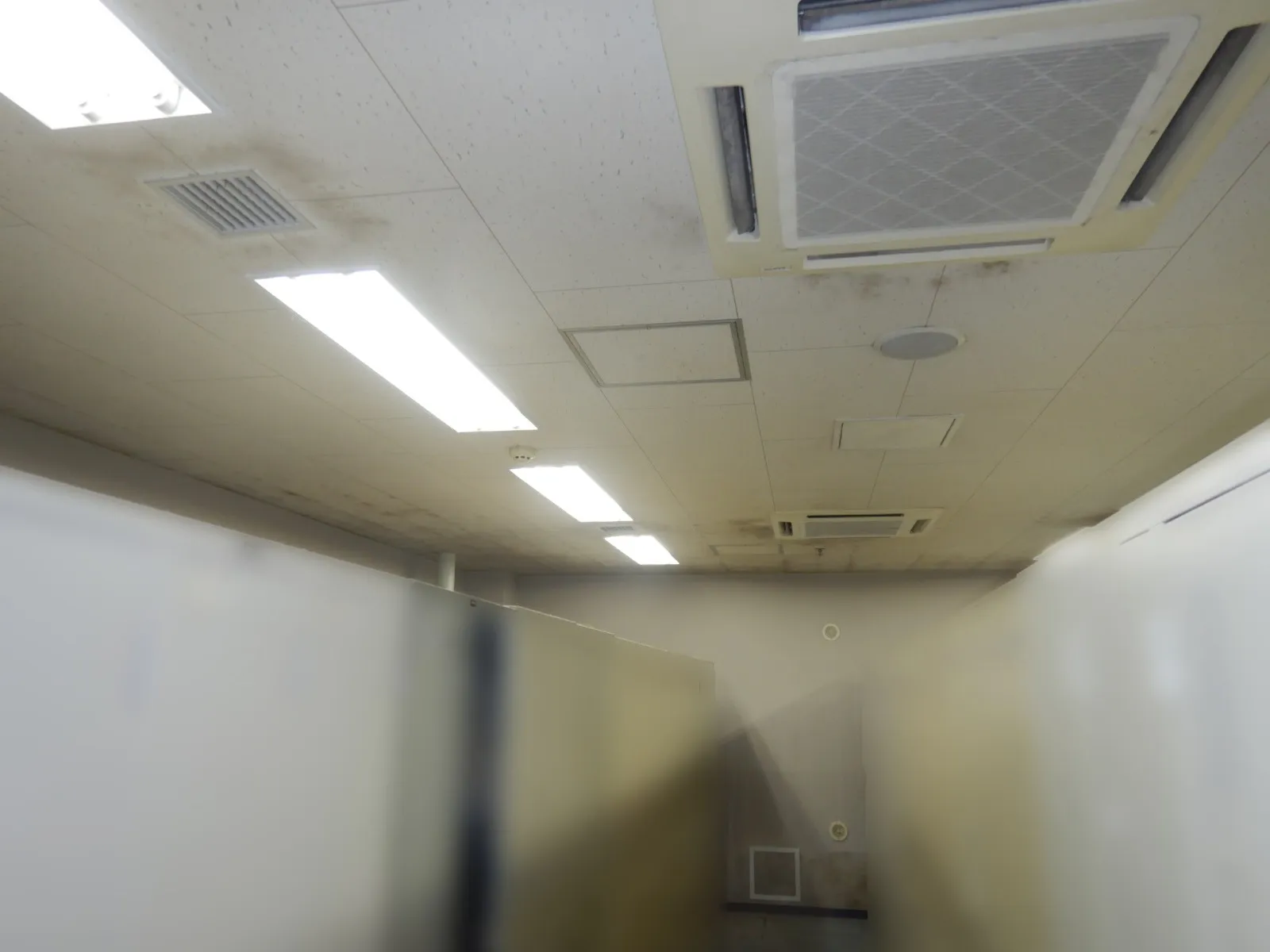 【埼玉県さいたま市】地下更衣室ジプトーン天井と塗装壁のカビ