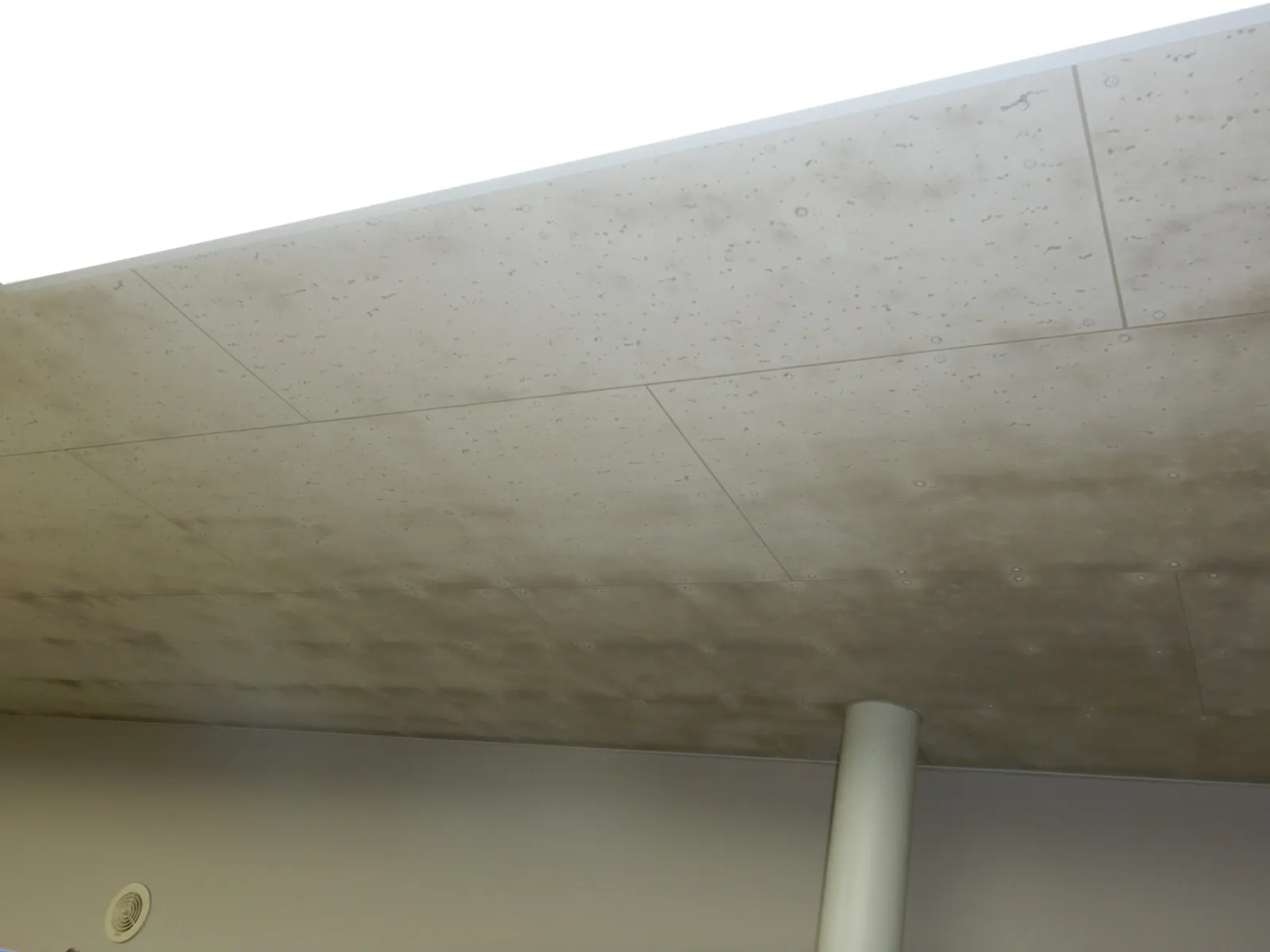 【埼玉県さいたま市】地下更衣室ジプトーン天井と塗装壁のカビ