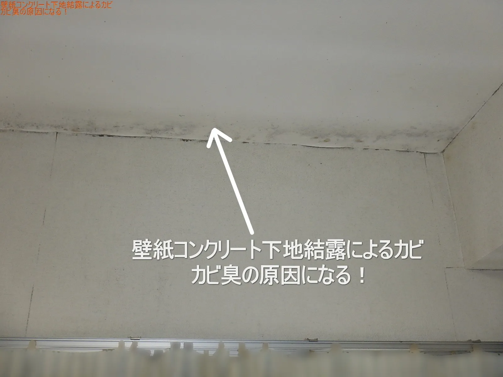 【埼玉・東京】気温上昇でカビ臭を放つ天井コンクリート直張り壁紙カビ