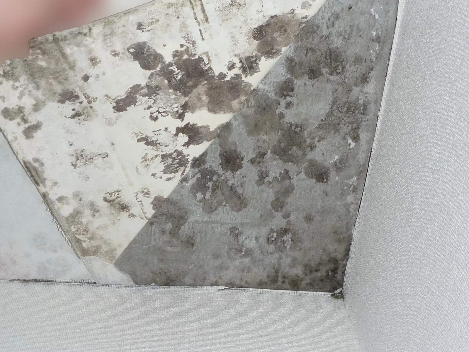 【埼玉・東京】天井コンクリート直張り壁紙結露カビには結露対策工事