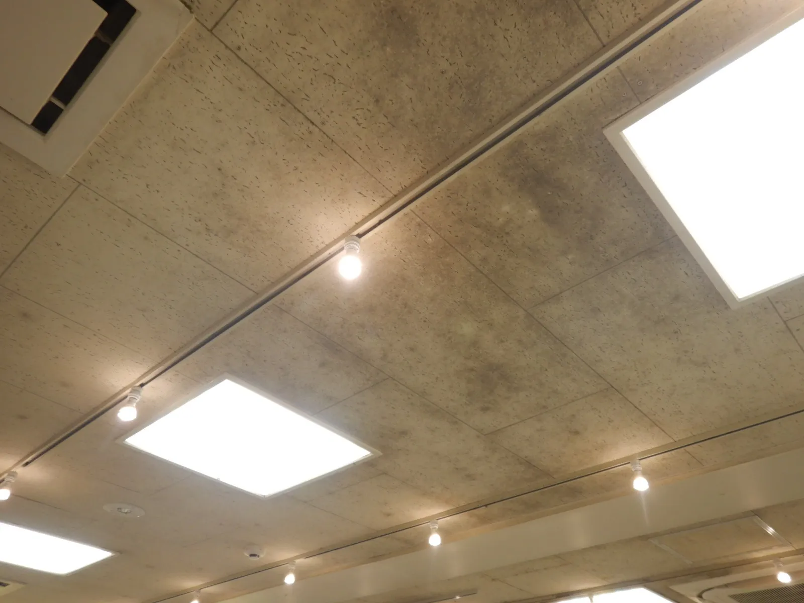 【東京都新宿区】カビ臭を放つソーラトン天井カビ