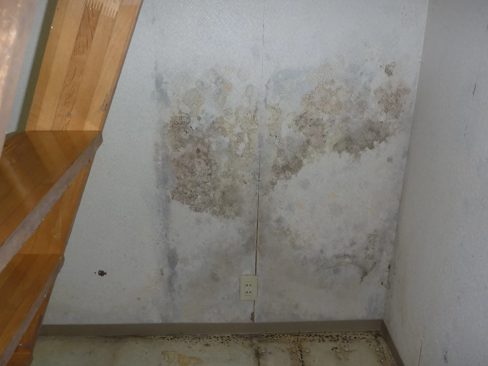 【東京都板橋区】地下室壁紙石膏ボード交換と防カビ結露対策工事を