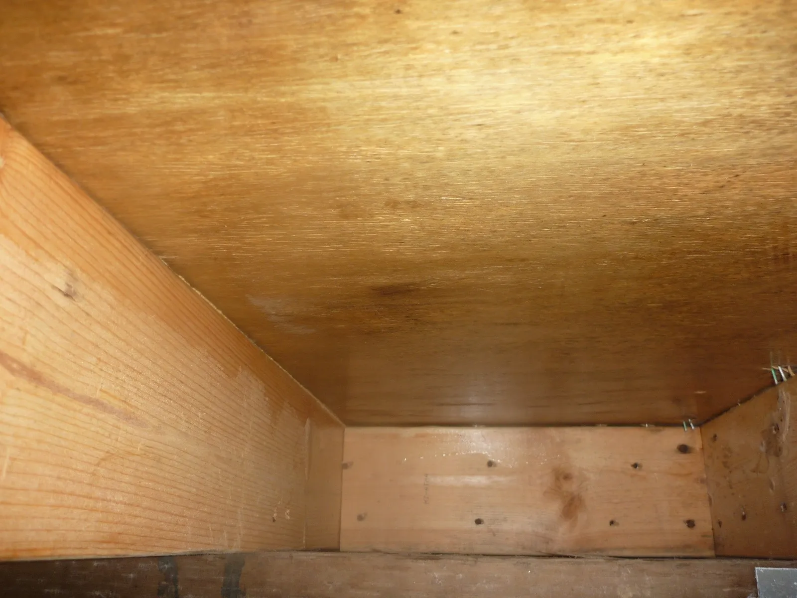 住宅床下木材合板カビの防カビ工事とシロアリ駆除業者の処理の違い