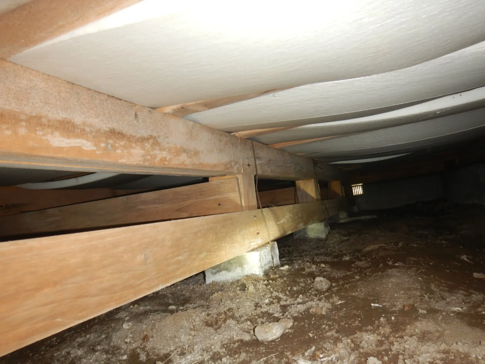 【東京都国分寺市】住宅床下木材合板カビには専門の防カビ工事を
