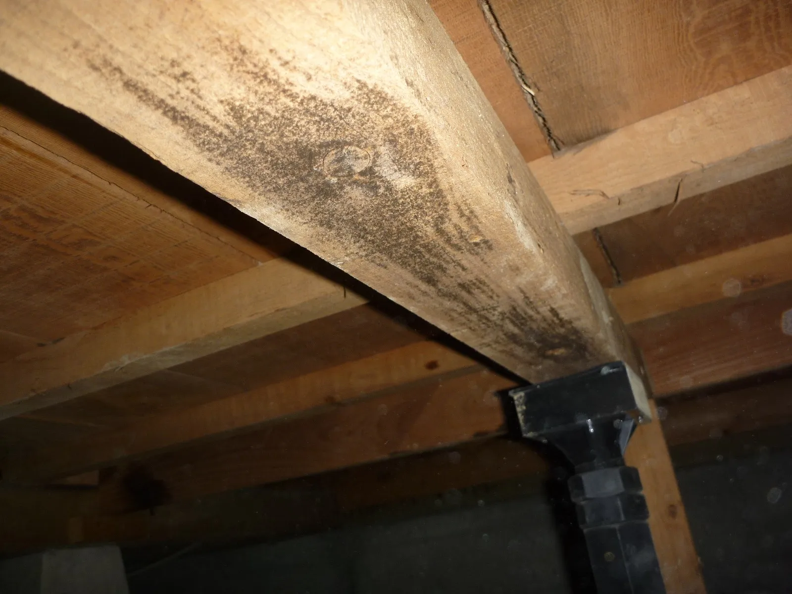 【埼玉県越谷市】住宅床下調湿材を撒いても木材合板カビは止まらず