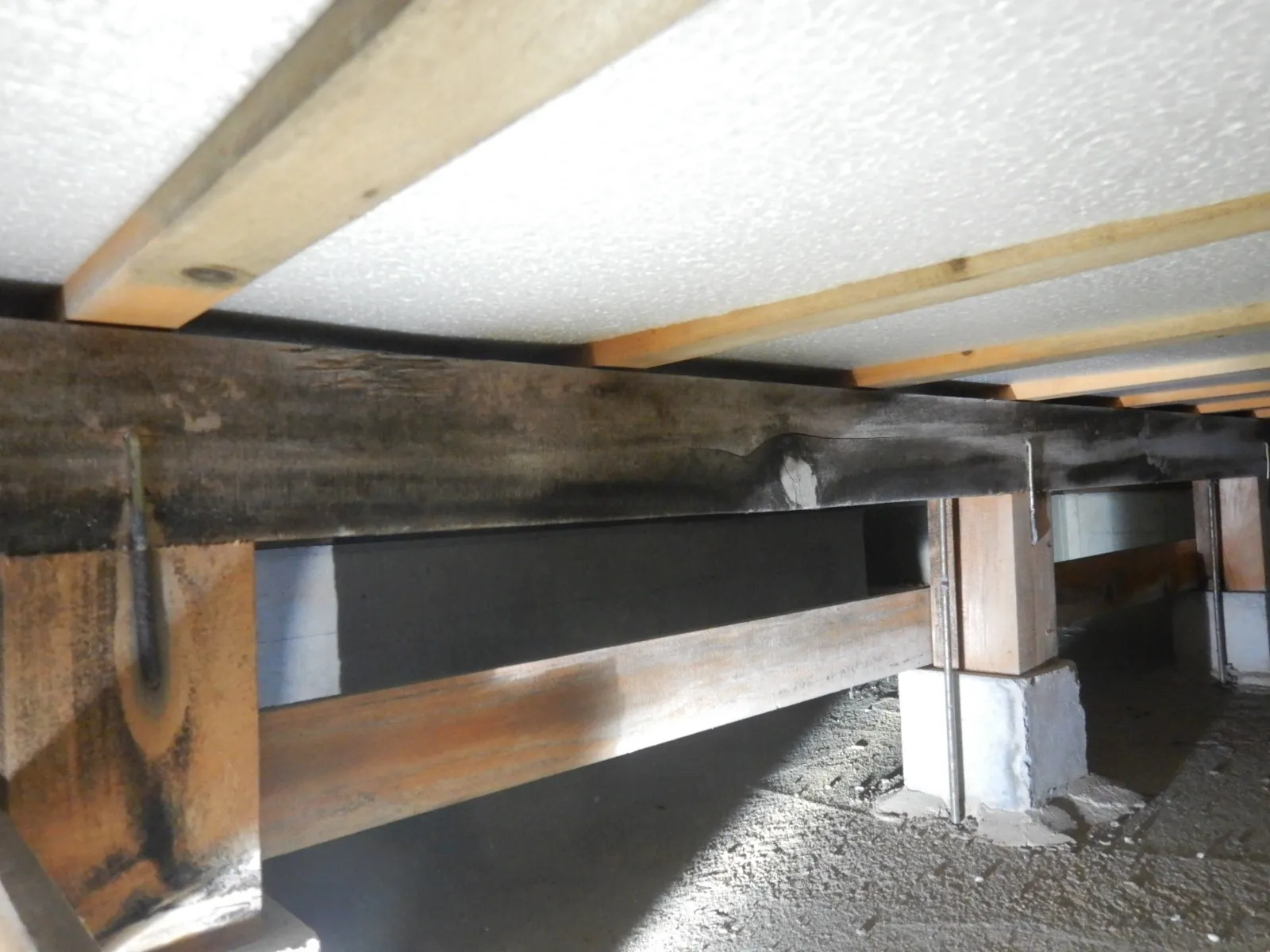 【埼玉・東京・神奈川】床下木材合板カビには防カビ工事が必須