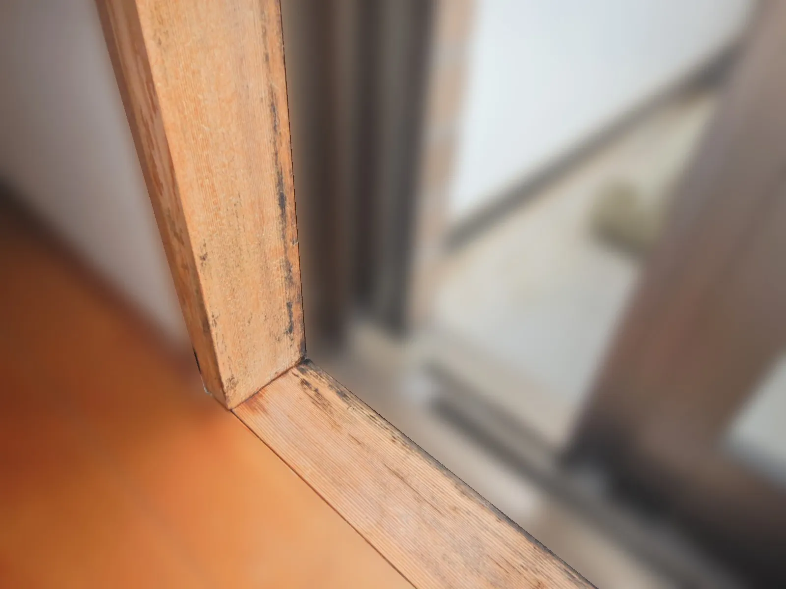 和室窓木枠防カビ工事