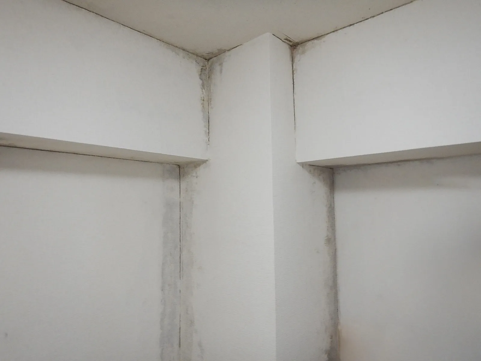 【東京都品川区】壁紙結露カビで下地が傷んでいたら解体し防カビ工事