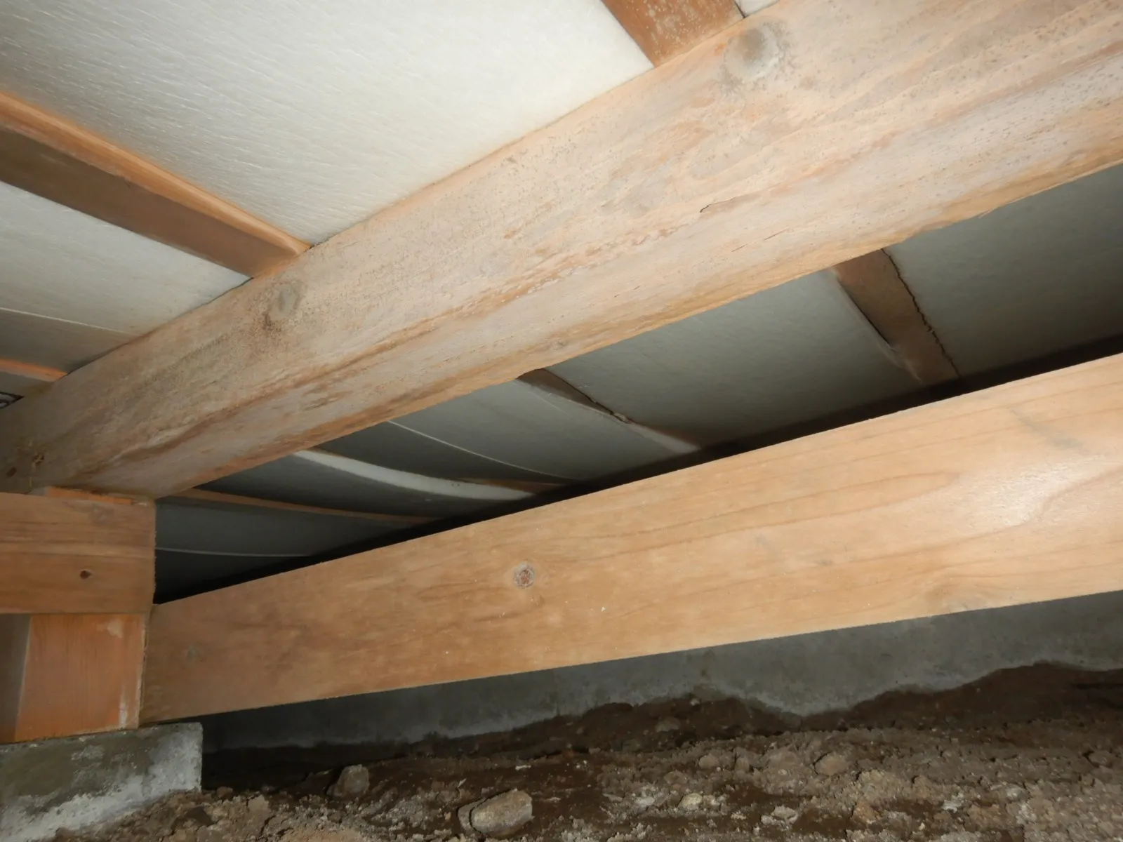 【埼玉・東京】住宅床下カビは目視可能な場所から防カビ工事を