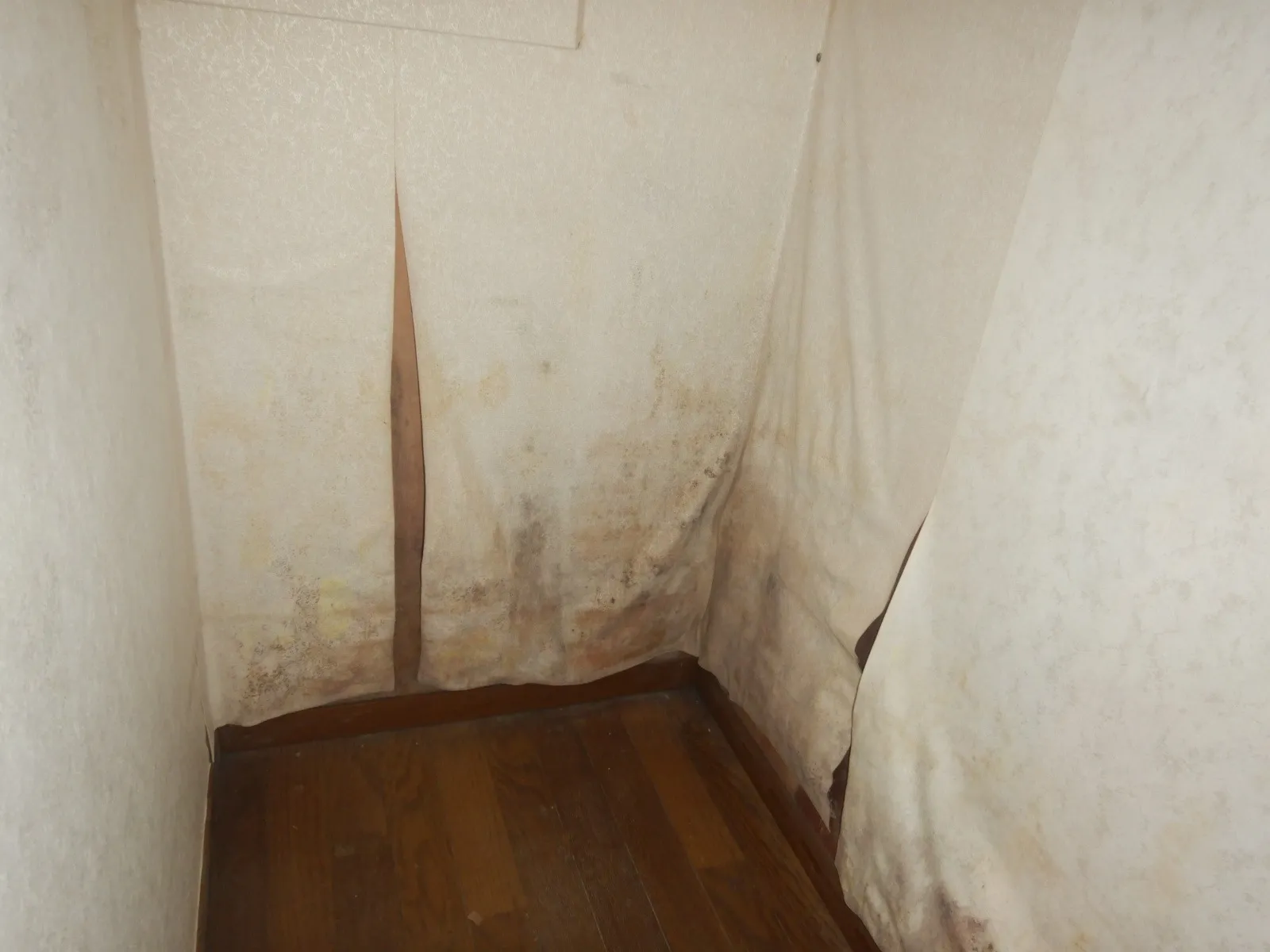 【神奈川県横浜市】地下階段下収納壁紙下地防カビ工事