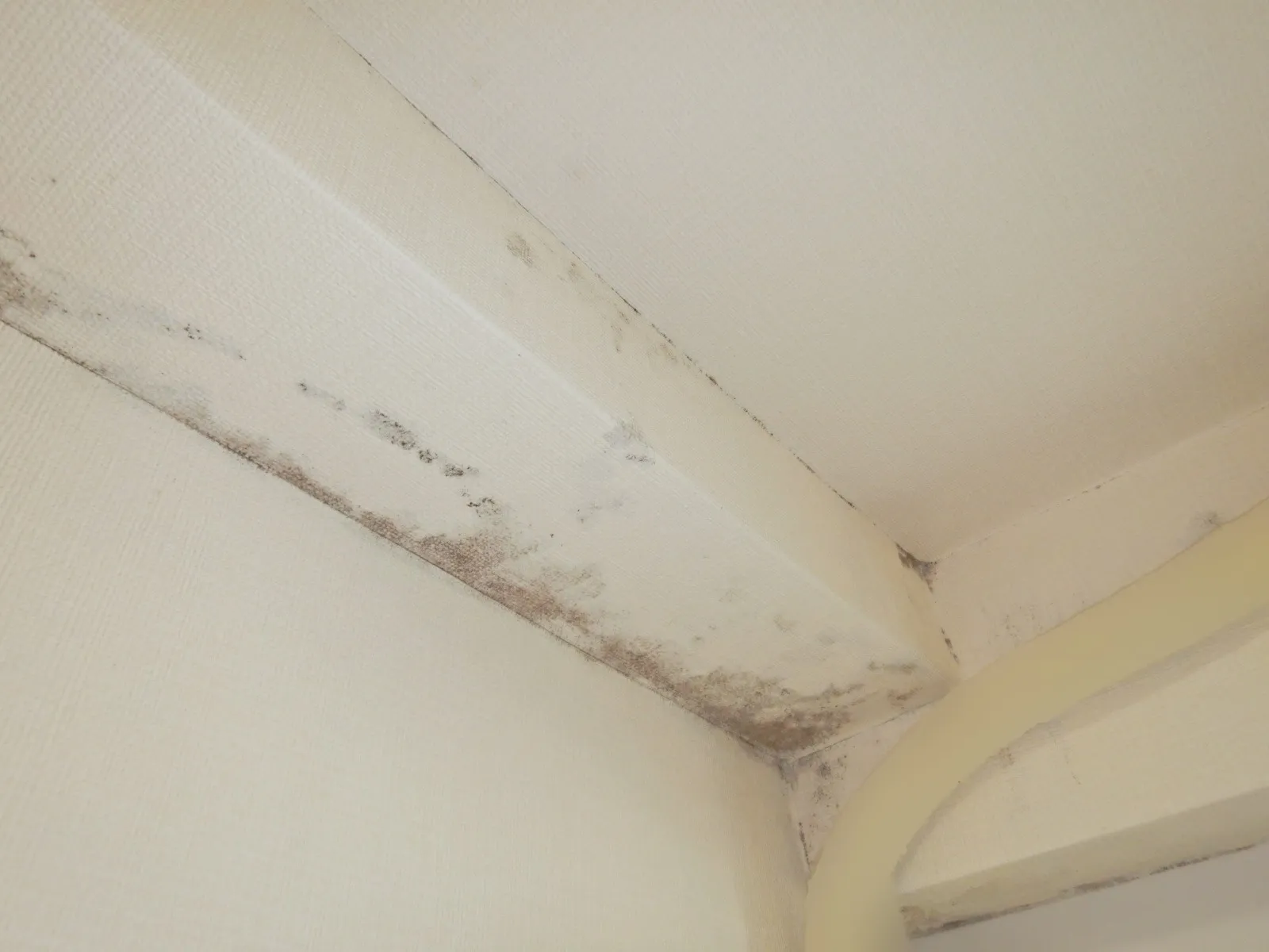 築古マンション寝室のコンクリート梁壁紙結露カビ