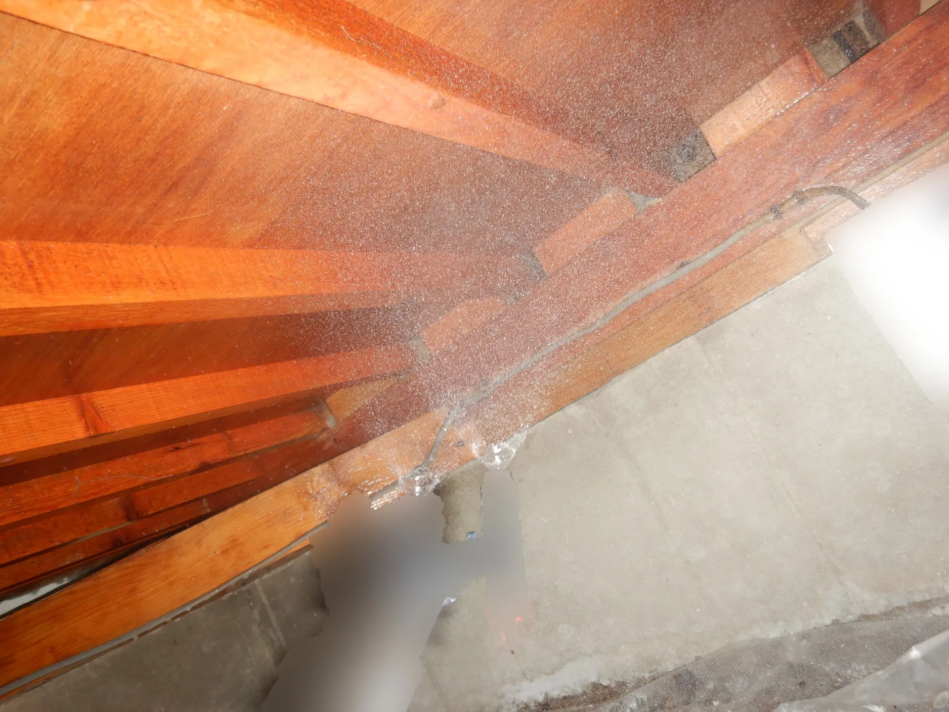 【埼玉・東京】住宅床下木材合板の防カビ工事してますか？