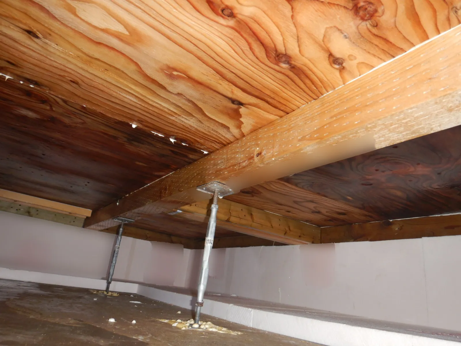 【建築中住宅】床下基礎内断熱工法の構造用合板カビに防カビ工事を