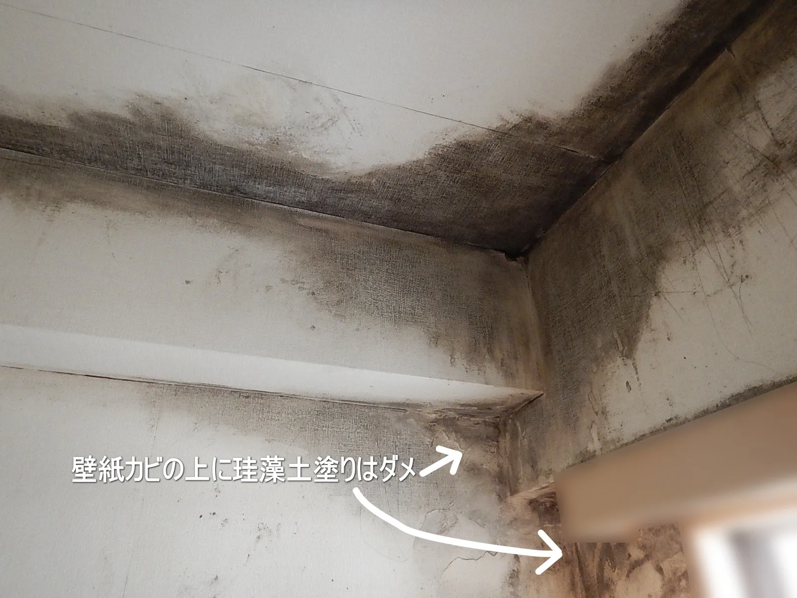 【埼玉・東京】壁紙カビ表面に珪藻土を塗ると健康を害します