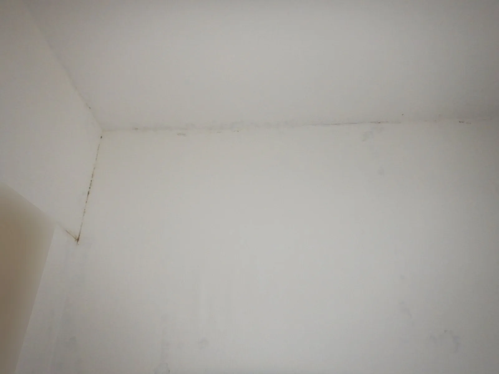 マンション天井コンクリート直張り壁紙の結露カビは危険