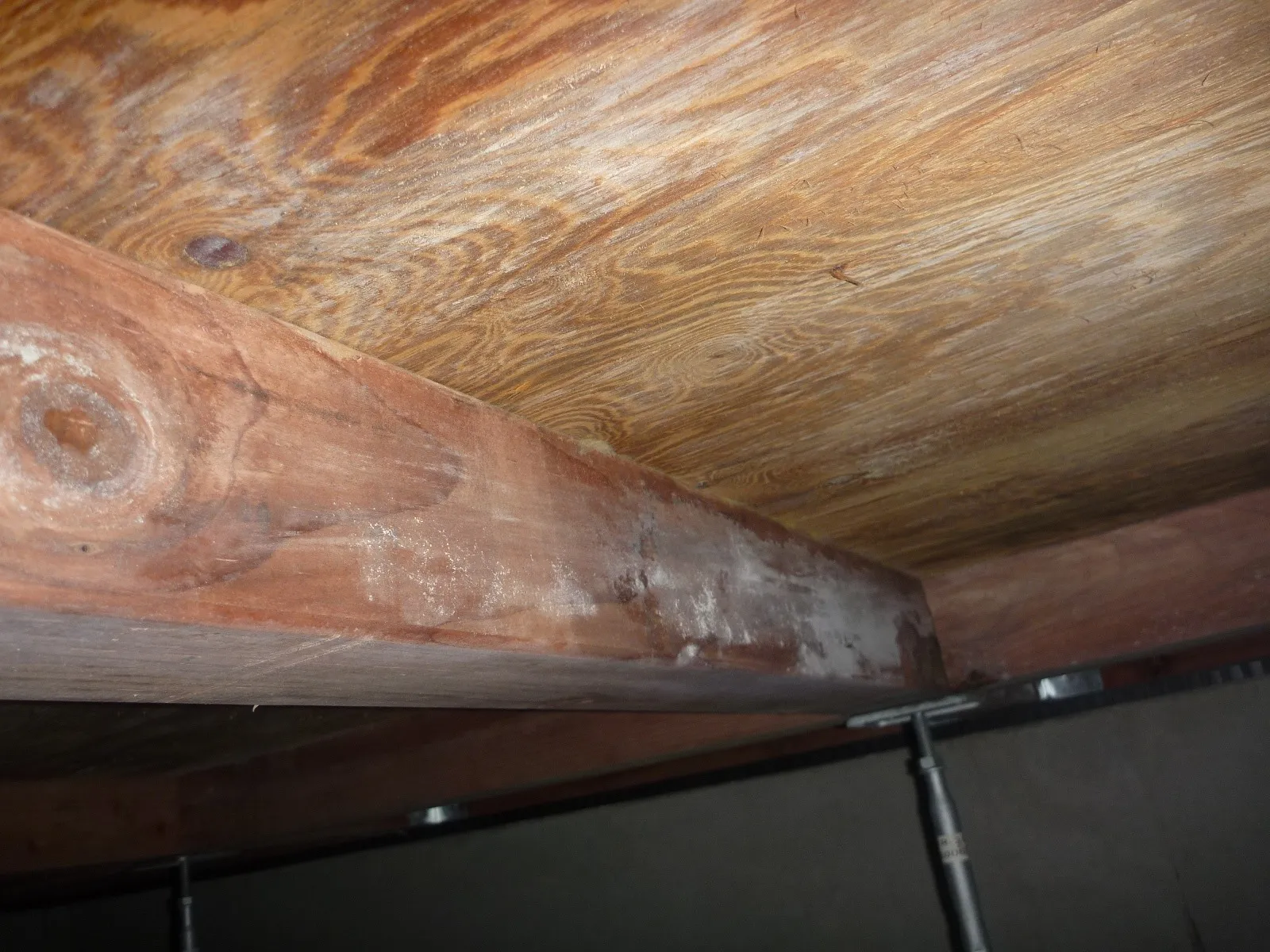 【埼玉の住宅】床下基礎内断熱工法の漏水による構造用合板カビ