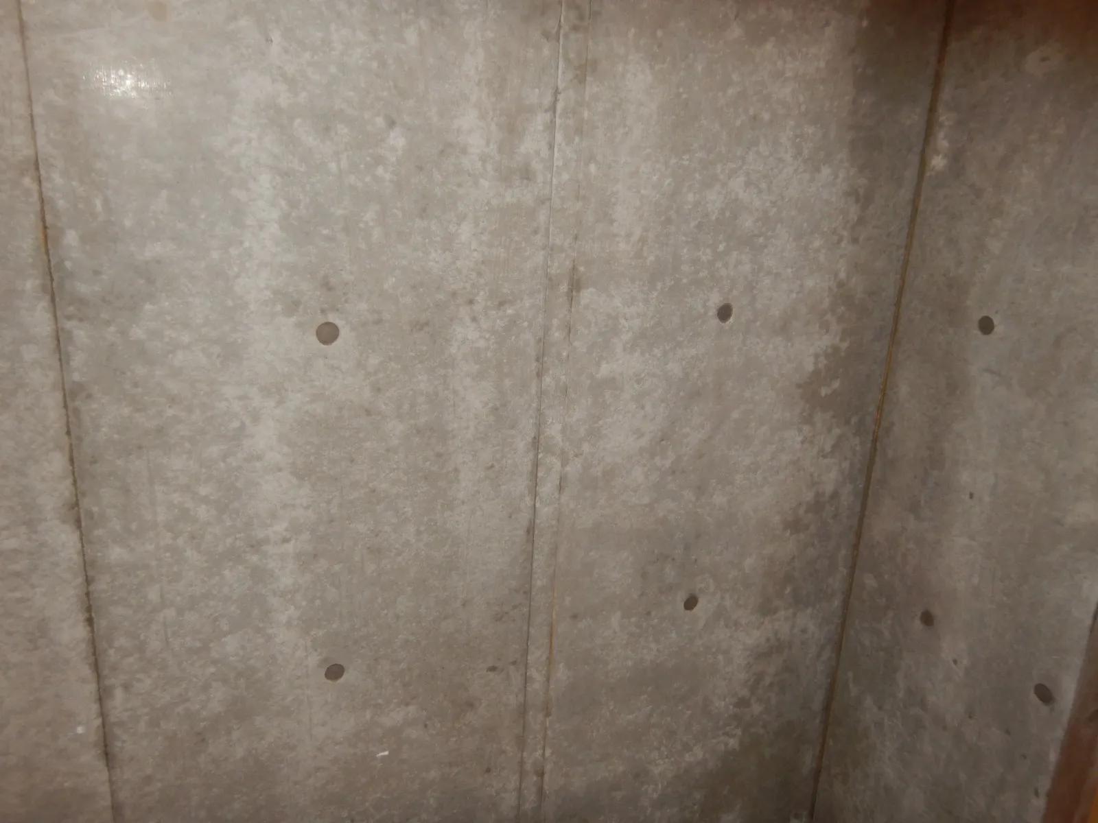 【埼玉・東京】カビ臭いコンクリート打ち放し壁には防カビ工事