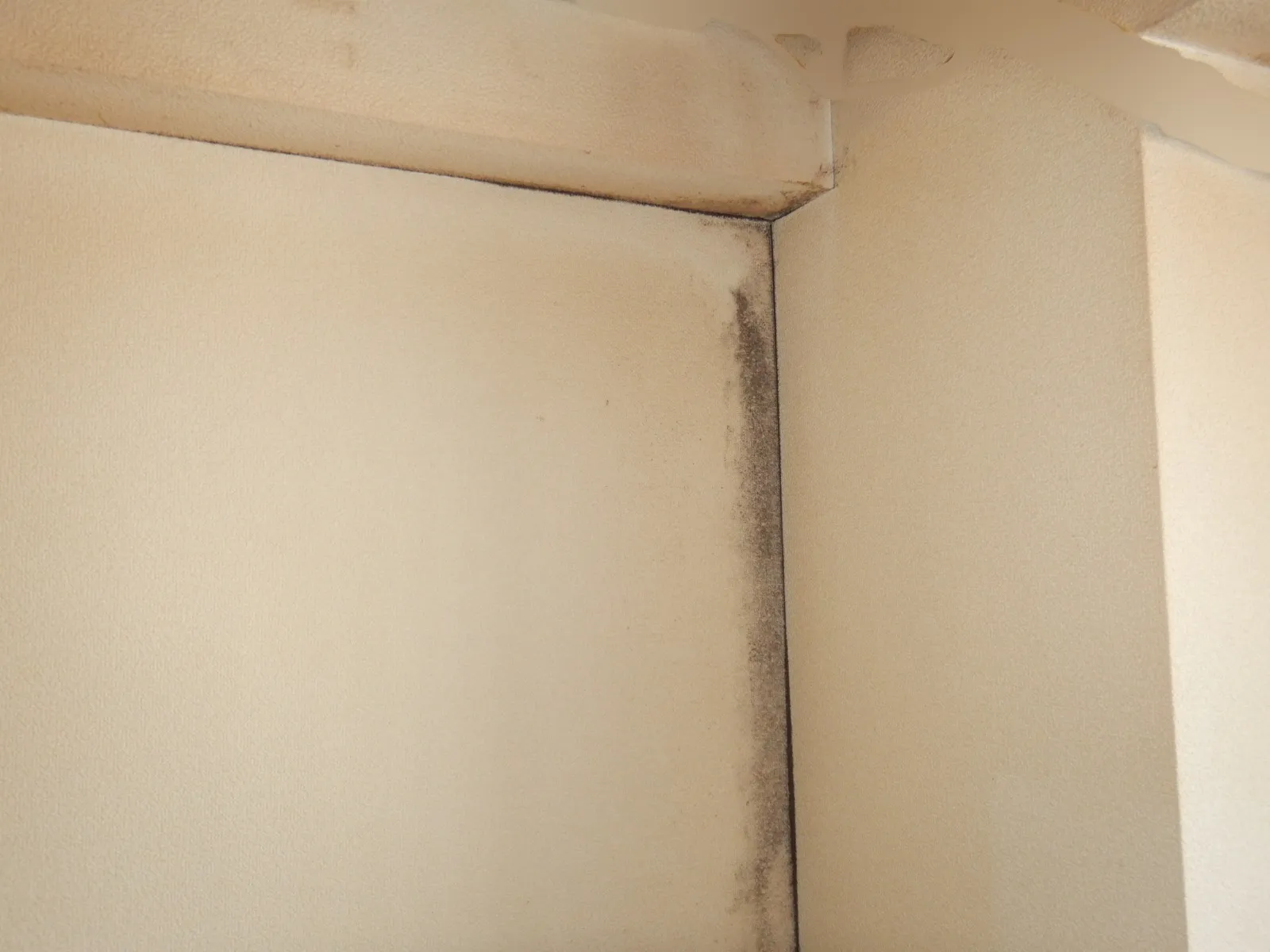 【埼玉の集合住宅】北側洋室コンクリート直張り壁紙の結露カビ