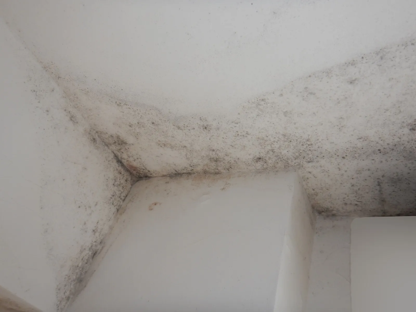 【天井コンクリート下地】壁紙に珪藻土を塗っても結露カビは止まらない