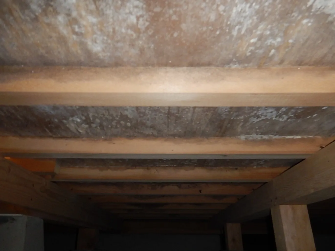 住宅床下木材合板をカビから守るプレモ防カビ工事