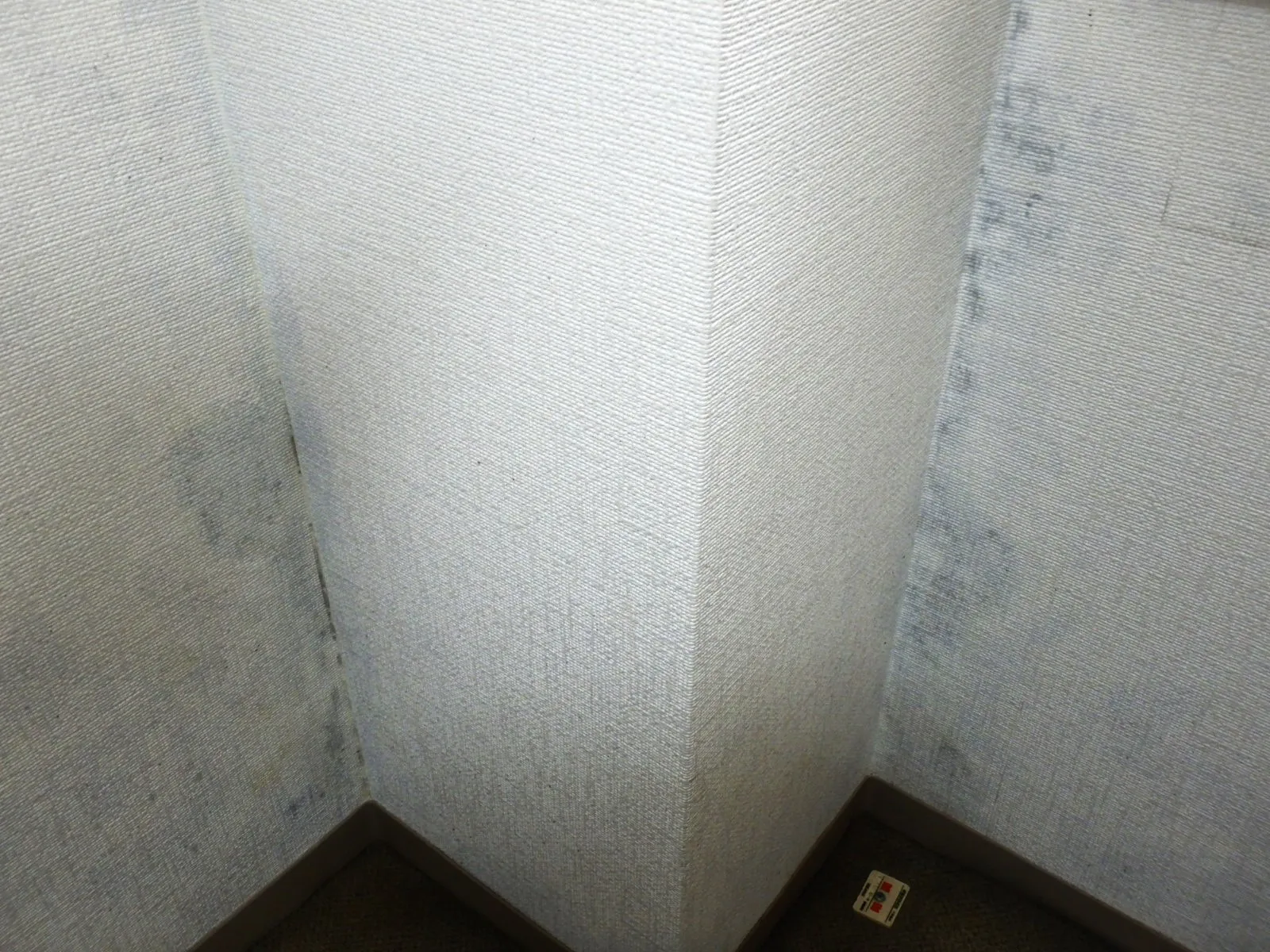 【埼玉県戸田市】ガスファンヒーターで壁紙石膏ボード下地カビ発生