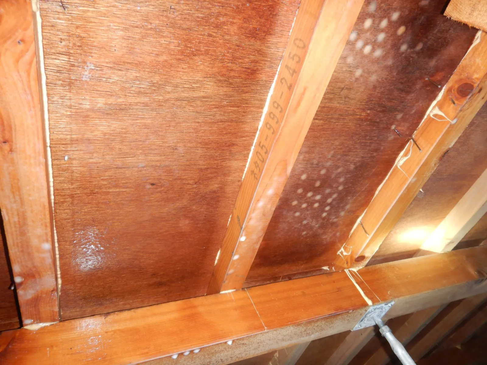 床下木材合板カビが発生していたら防蟻処理よりプレモ防カビ工事