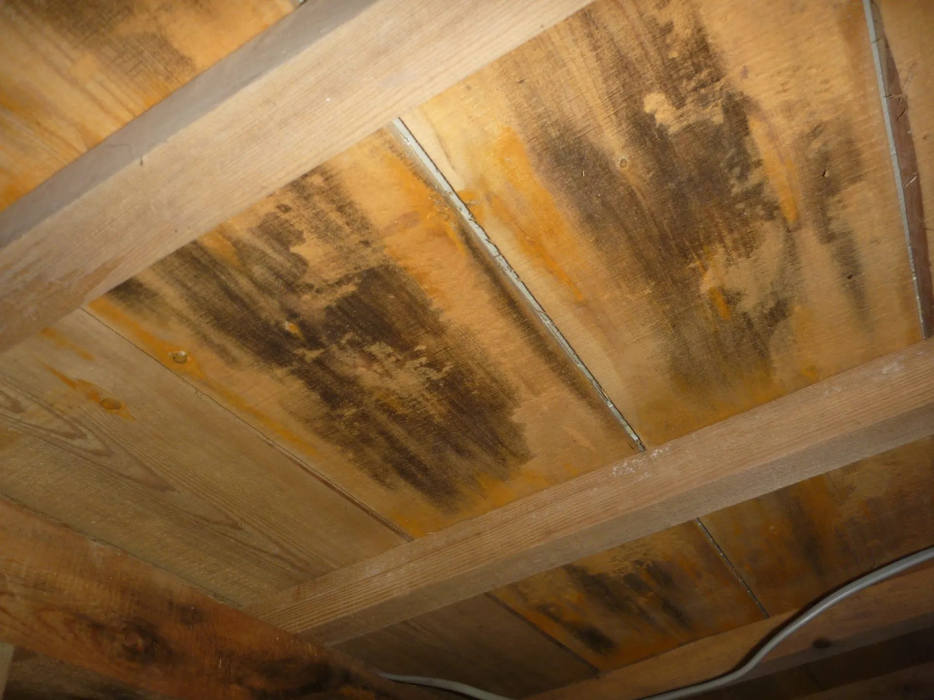 住宅の和室床下木材合板だけでも防カビ工事
