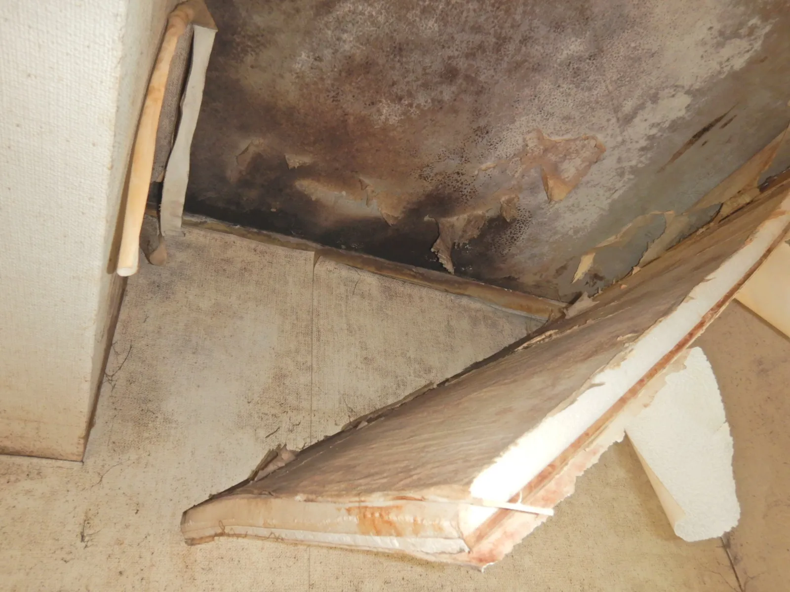 【集合住宅】天井コンクリート下地に断熱工事か防カビ結露対策工事か