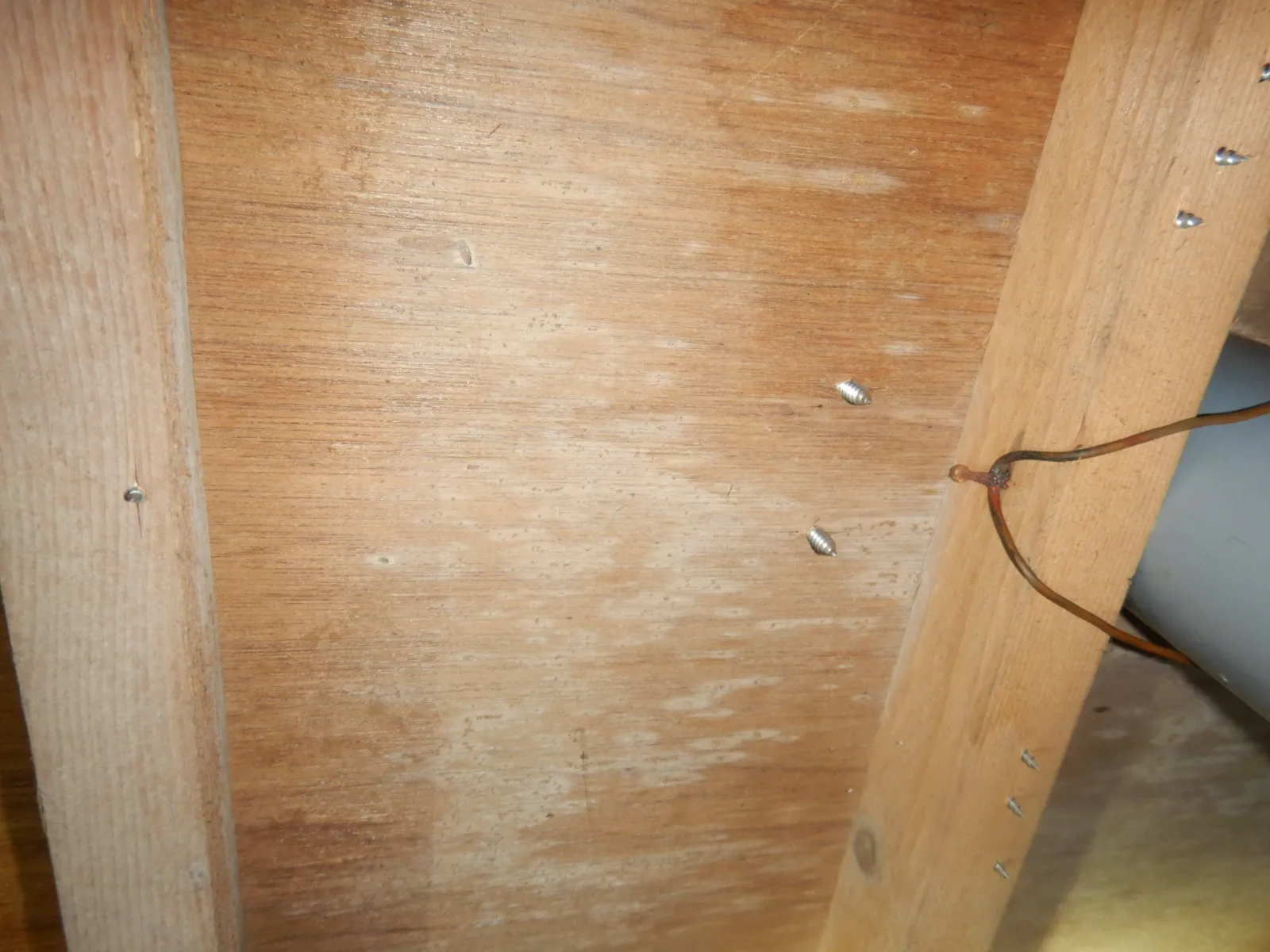 【埼玉・東京】住宅床下木材合板カビには防カビ工事が第一選択