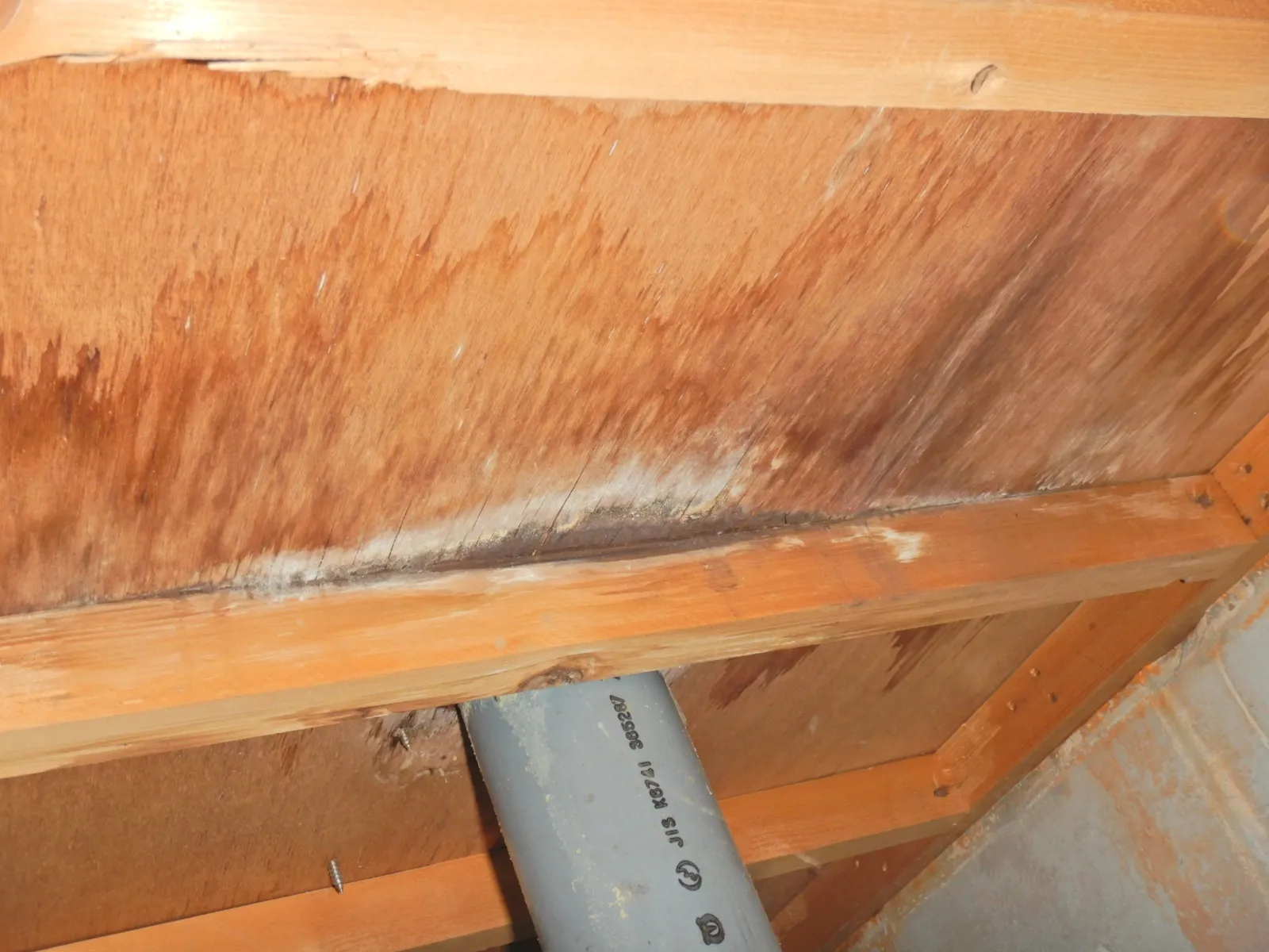 【埼玉・東京】住宅床下の気になる木材合板カビに対応します