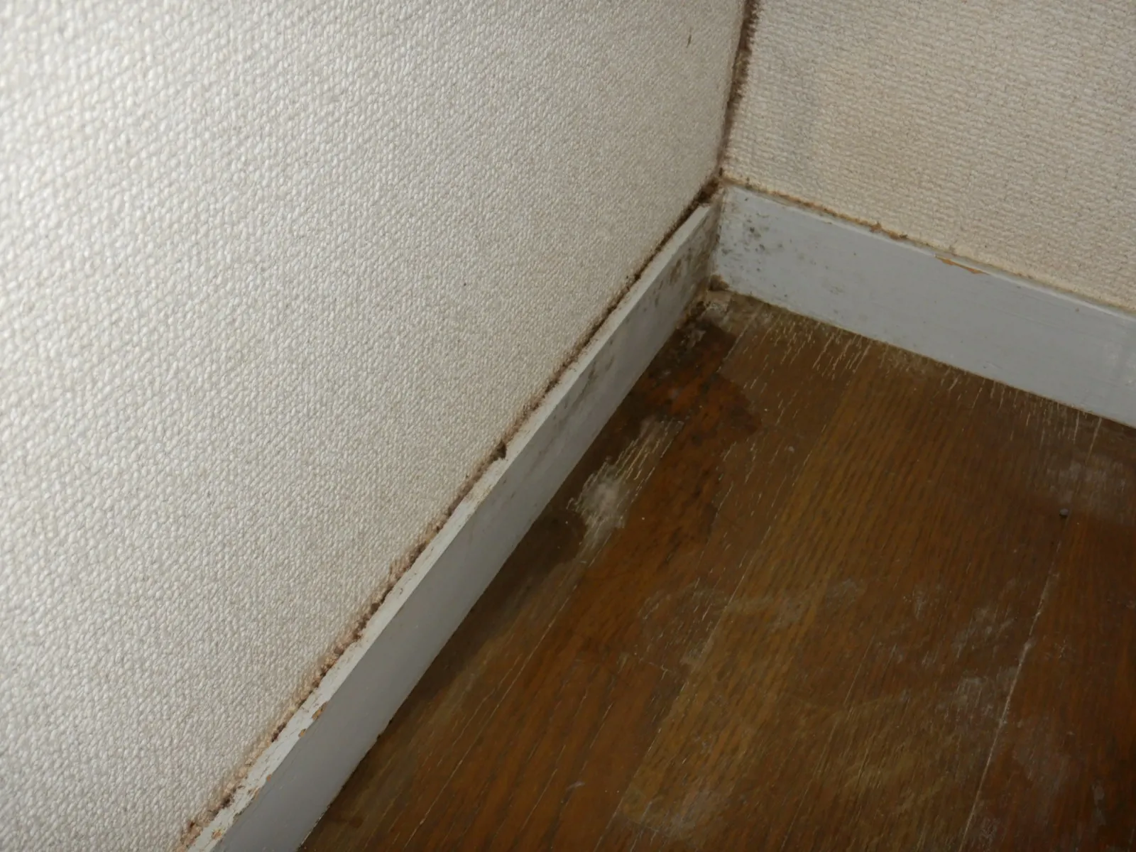 【寒暖差】コンクリート下地の結露が床に溜まる部屋