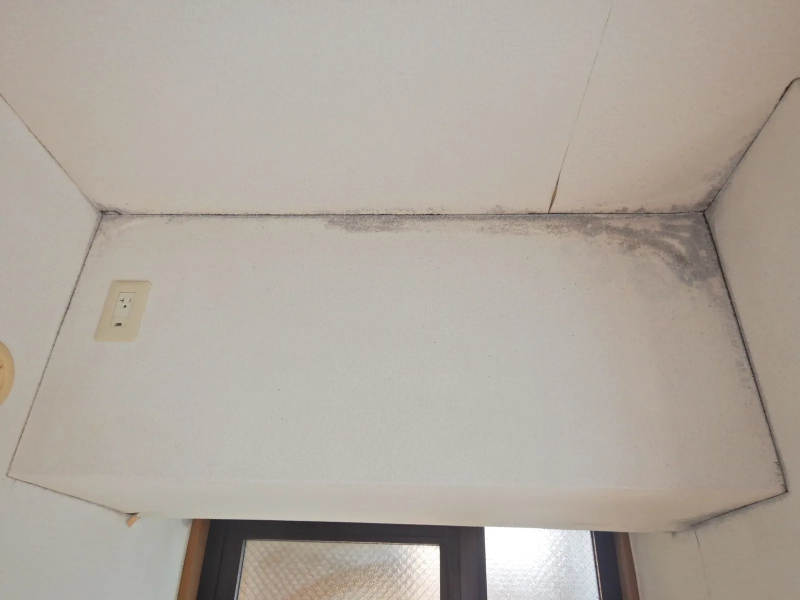 【集合住宅】カビ臭い部屋は壁紙剥がしても下地にカビが根付いている