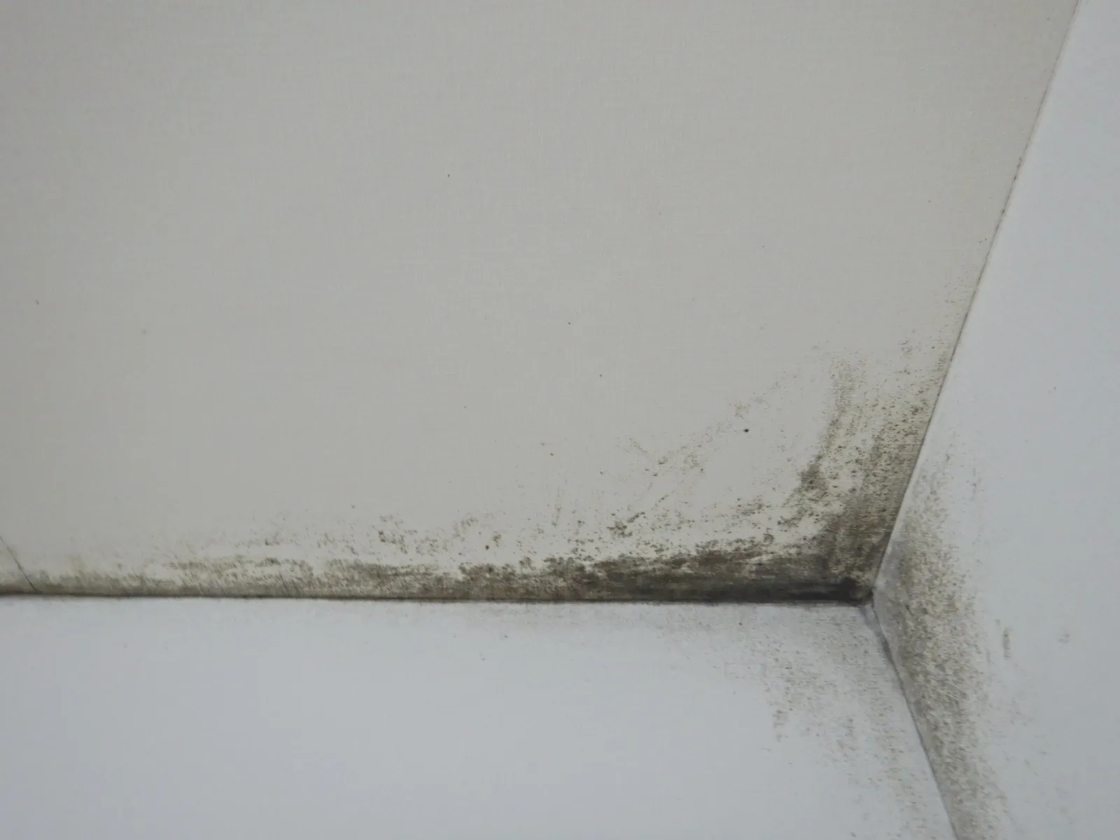 壁紙表面スポット防カビ工事の費用