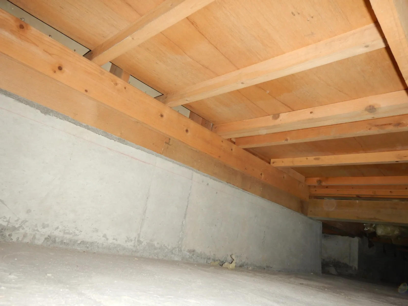 住宅床下木材合板カビが目視出来なくても防カビ工事